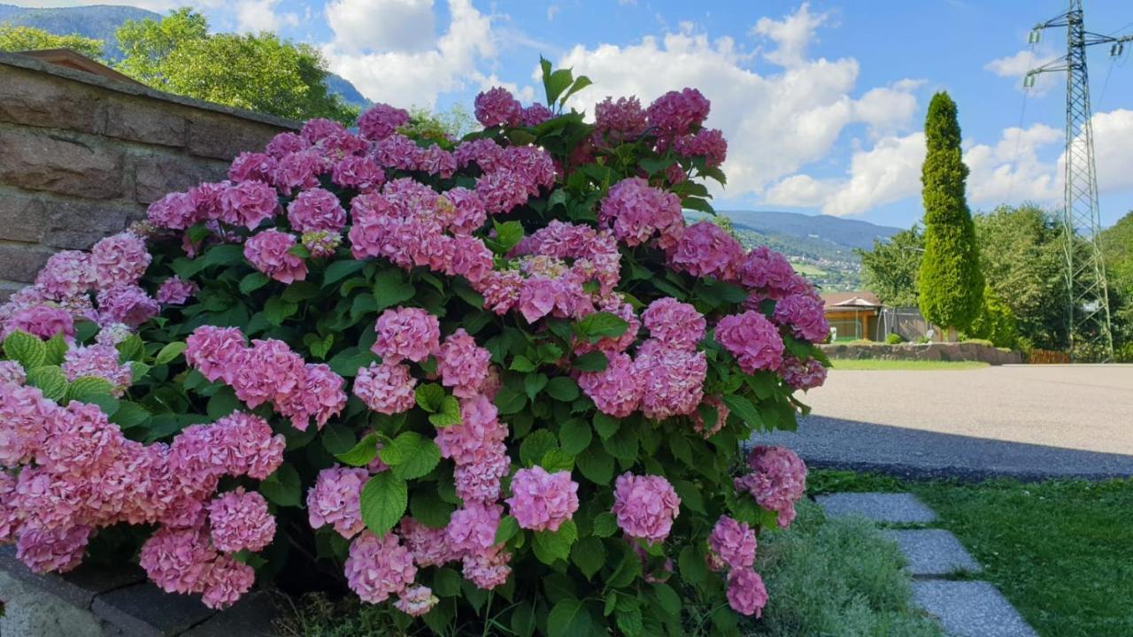 Ferienwohnungen Koflerhof Castelrotto Kültér fotó