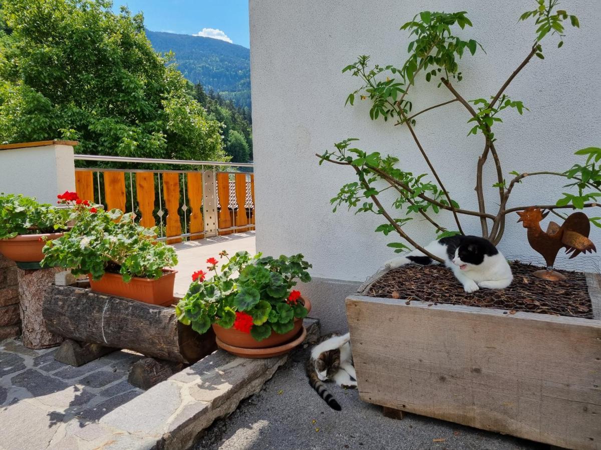 Ferienwohnungen Koflerhof Castelrotto Kültér fotó
